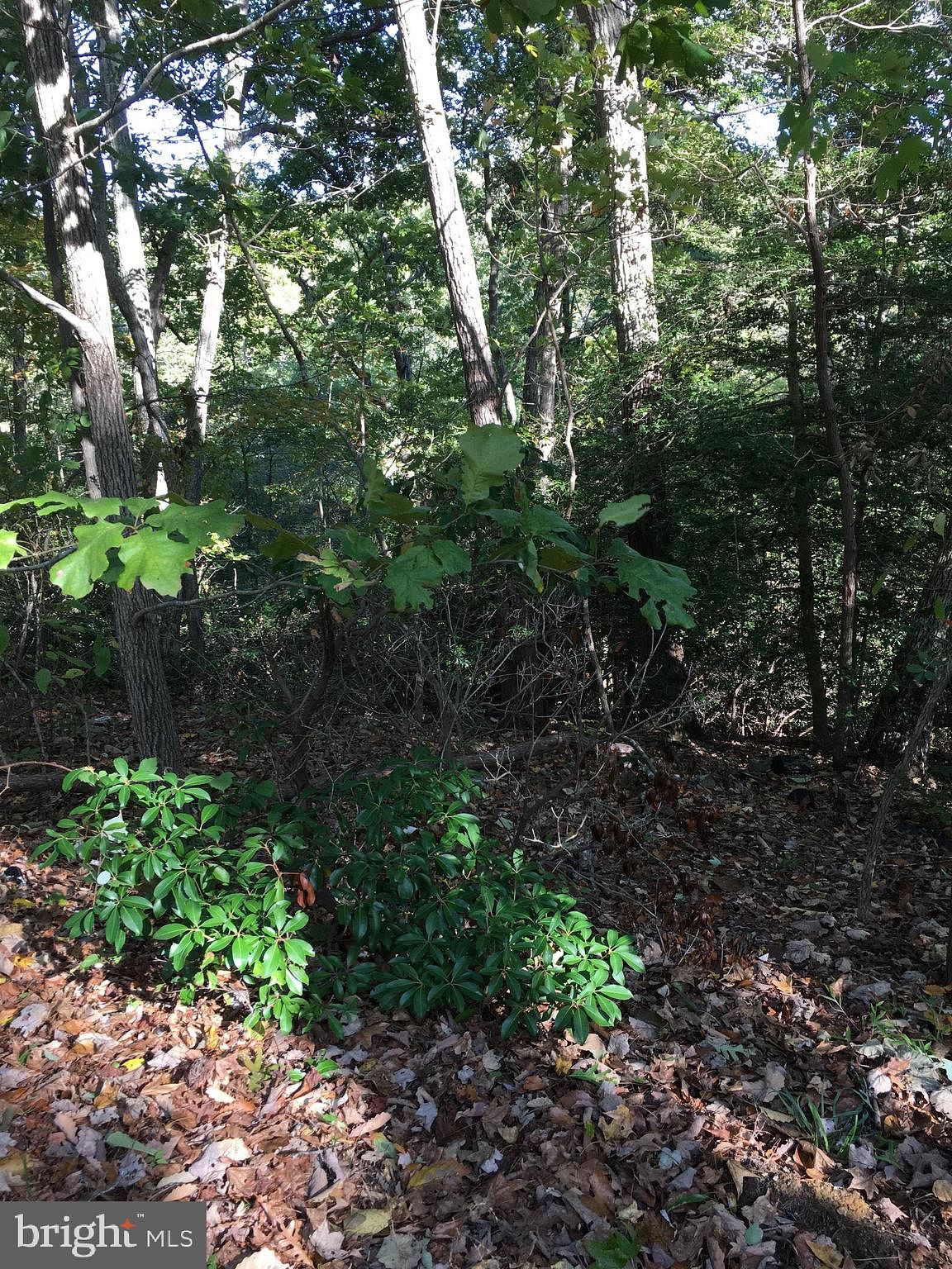 0.17 Acres of Land Beltsville, Maryland, 