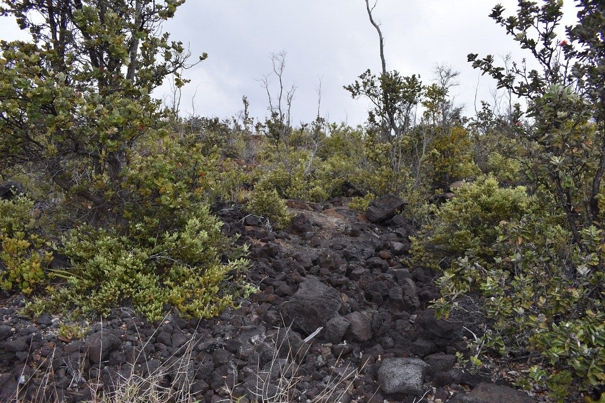 1 Acre of Land Hawaiian Ocean View, Hawaii, 